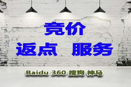 电商成功案例：竞价推广助力品牌崛起